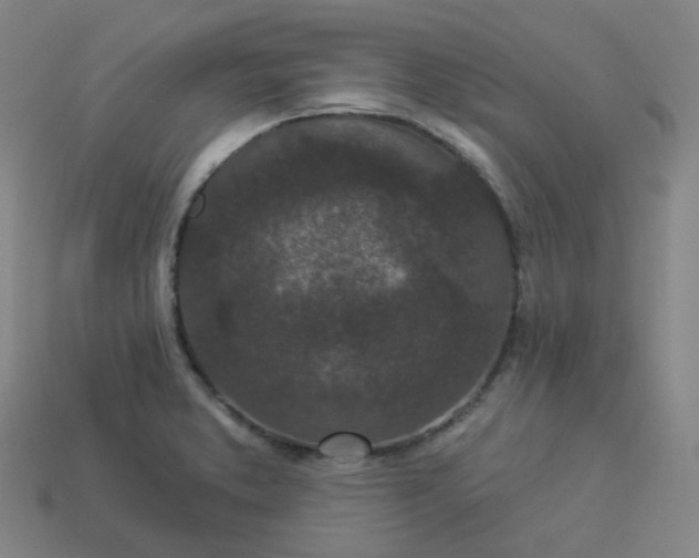 X0000114071373200910191513