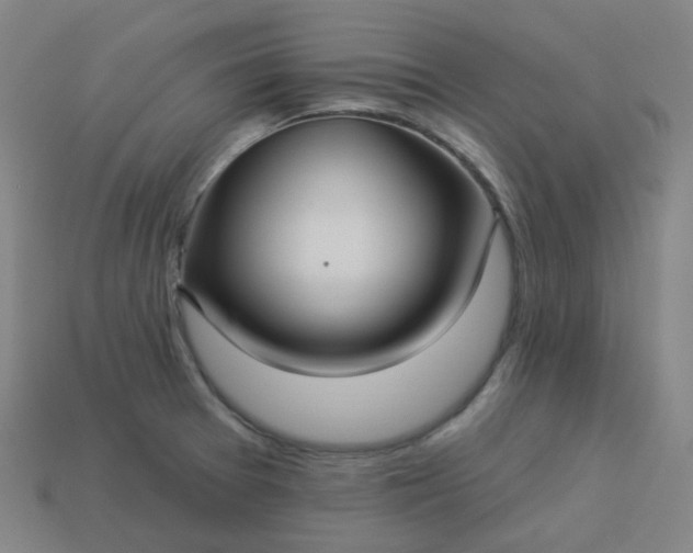 X0000114071377200910191513