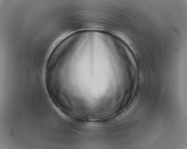 X0000114071379200910191513