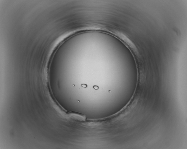 X0000114071380200910191513