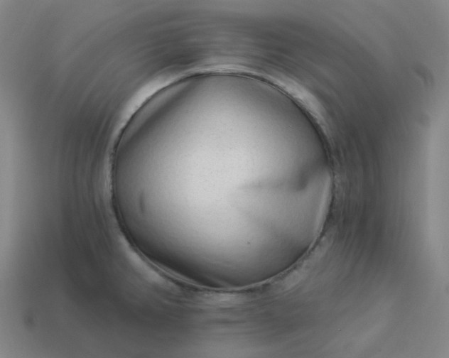 X0000114071382200910191513