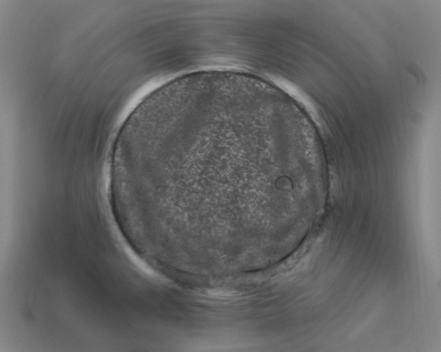 X0000114071383200910191513