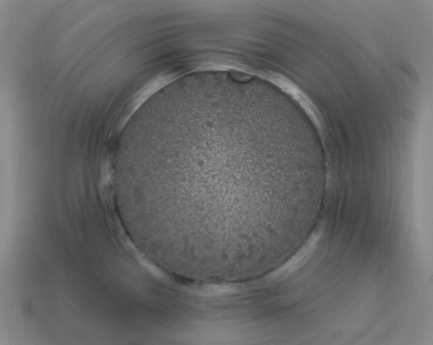 X0000114071385200910191513