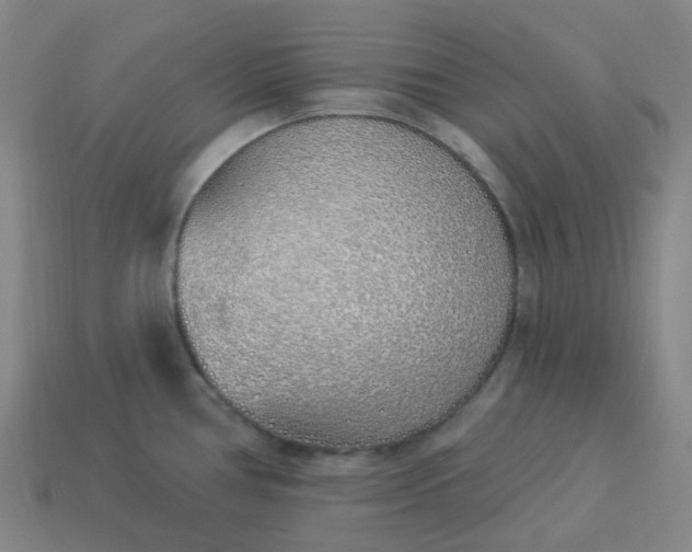 X0000114071386200910191513