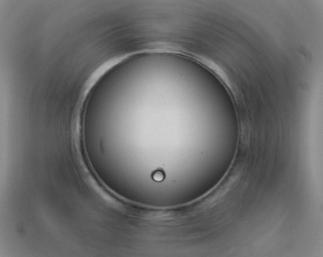 X0000114071387200910191513