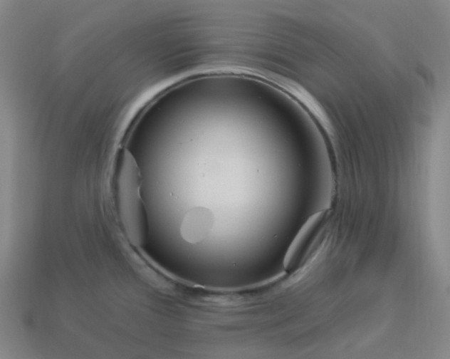 X0000114071388200910191513