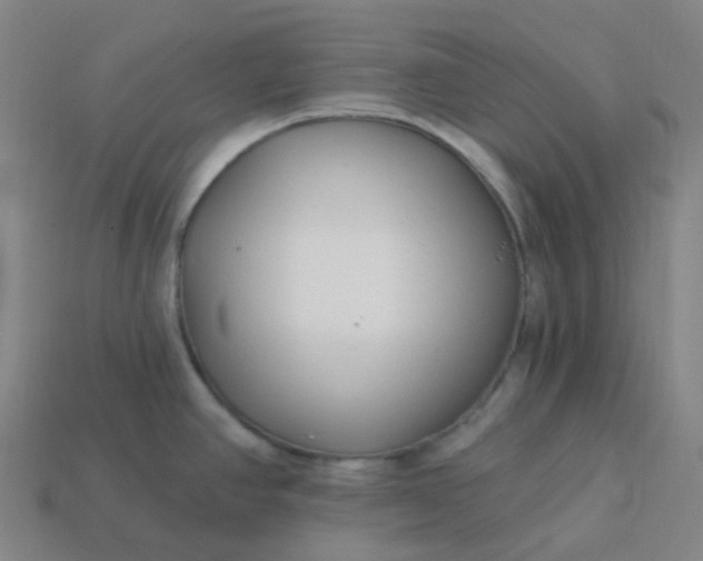 X0000114071390200910191513