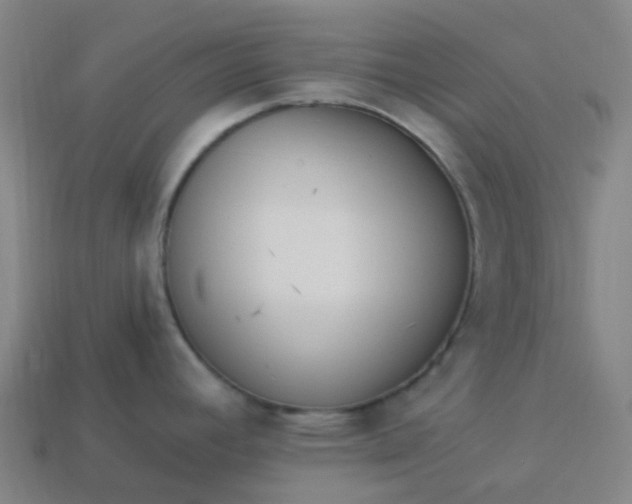 X0000114071392200910191513