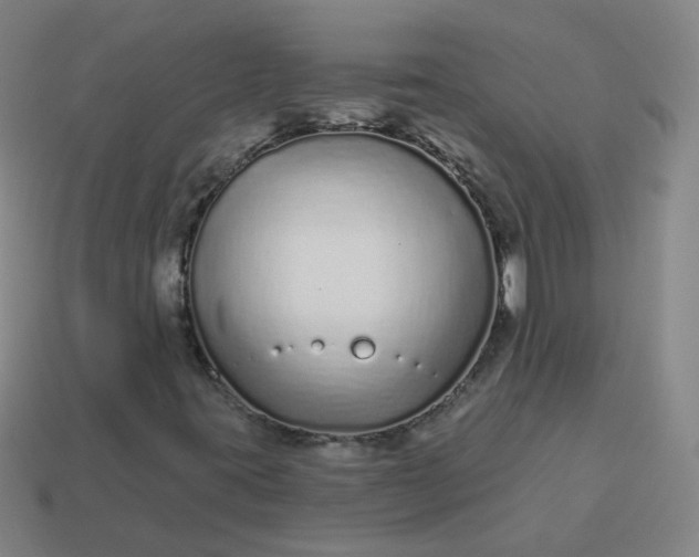 X0000114071395200910191512