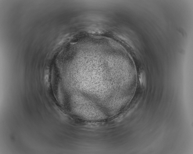 X0000114071396200910191512