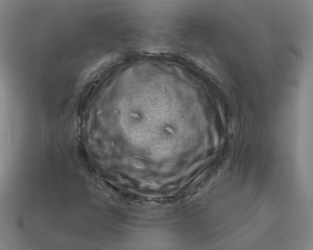 X0000114071398200910191512