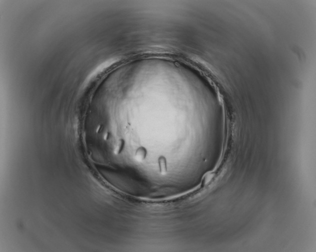 X0000114071402200910191512