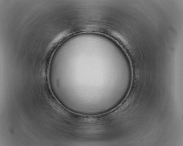 X0000114071403200910191512