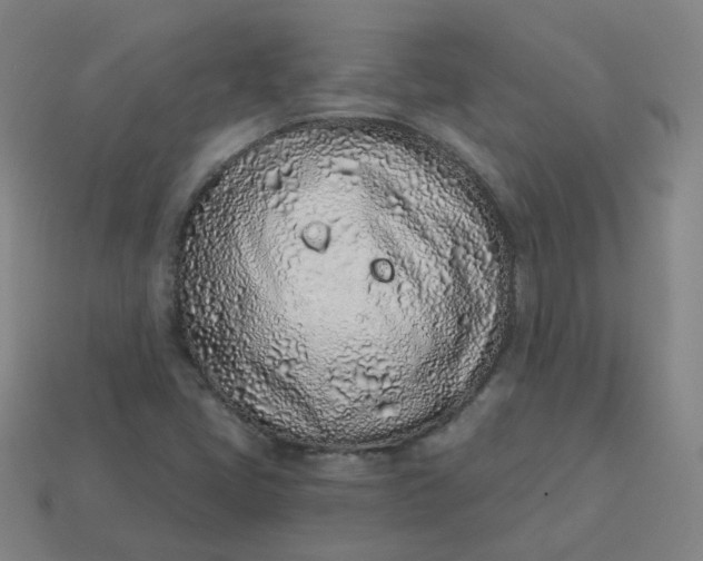 X0000114071405200910191512