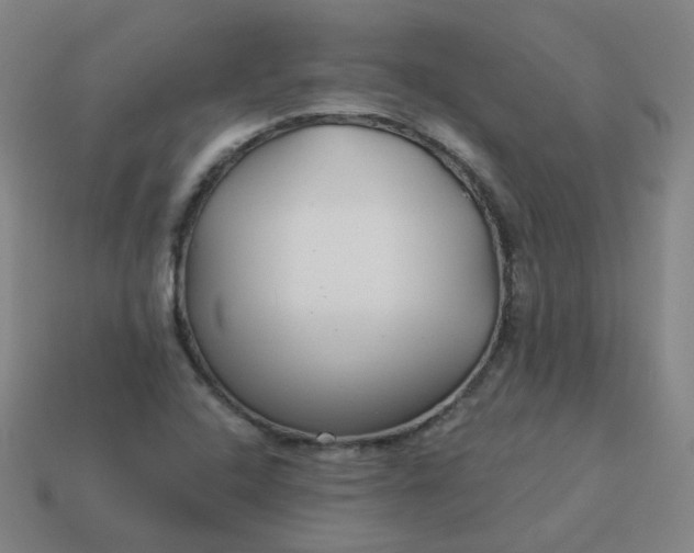 X0000114071408200910191512