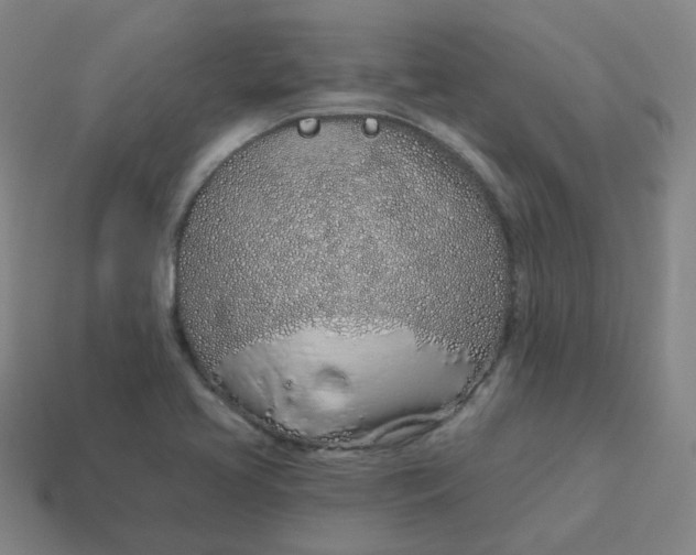 X0000114071413200910191512