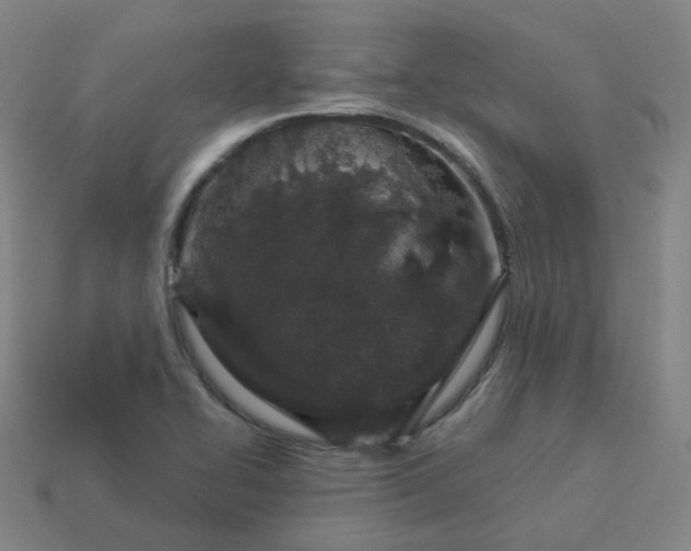 X0000114071414200910191512