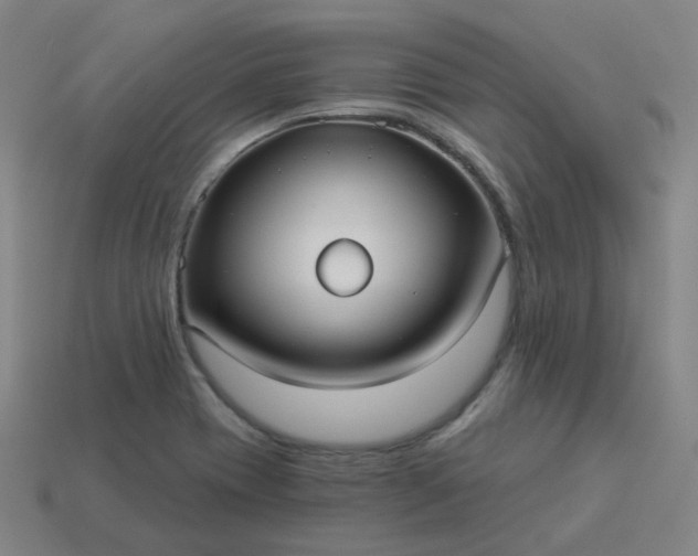 X0000114071417200910191512