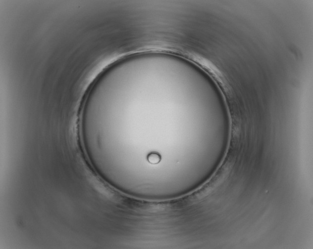 X0000114071423200910191512