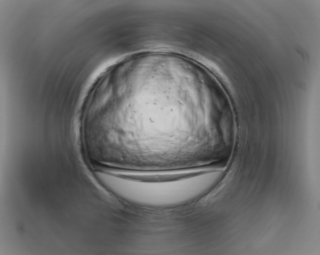 X0000114071424200910191512