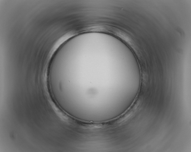 X0000114071426200910191512