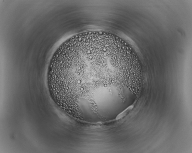 X0000114071427200910191512