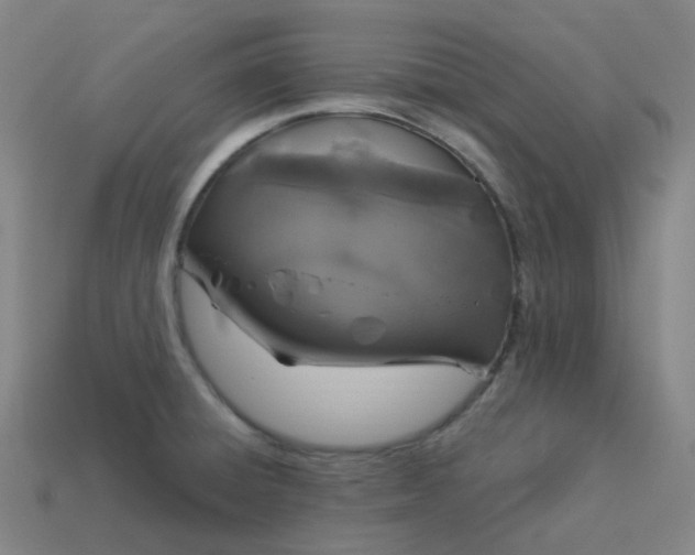 X0000114071428200910191512