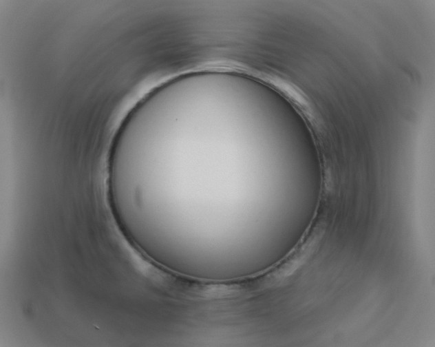 X0000114071430200910191513