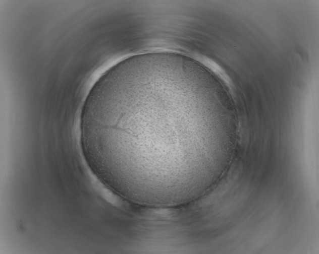 X0000114071431200910191513