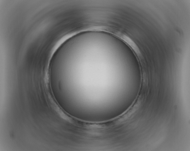 X0000114071436200910191513