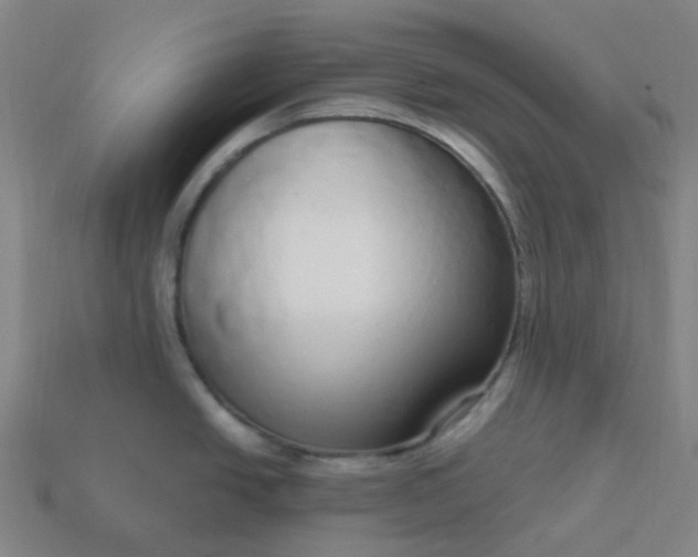 X0000114071438200910191513