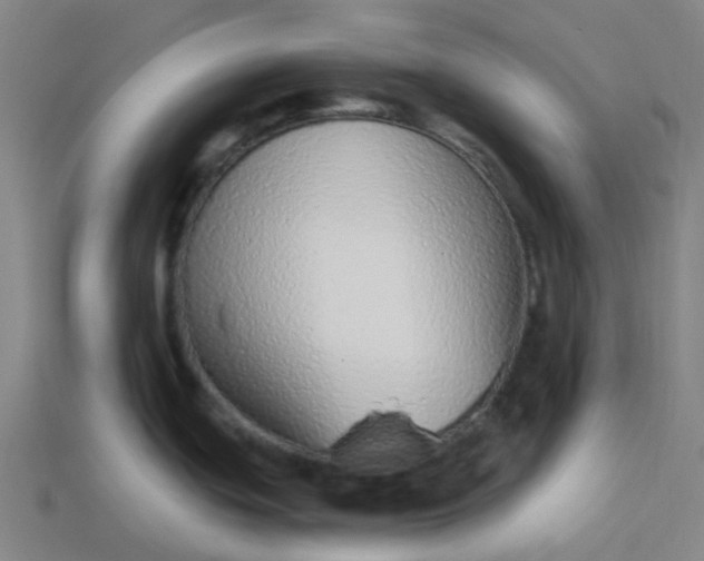 X0000114071439200910191513