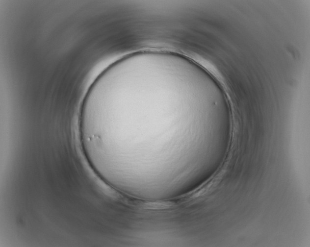 X0000114071440200910191513