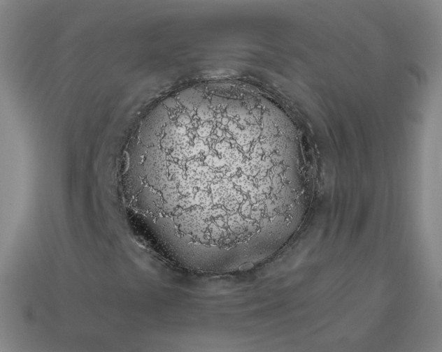 X0000114071441200910191512