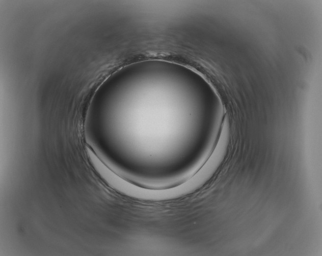 X0000114071444200910191512