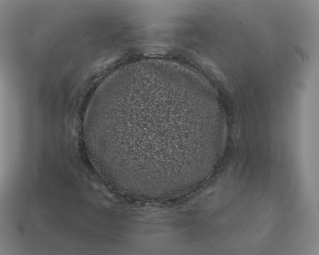 X0000114071445200910191512