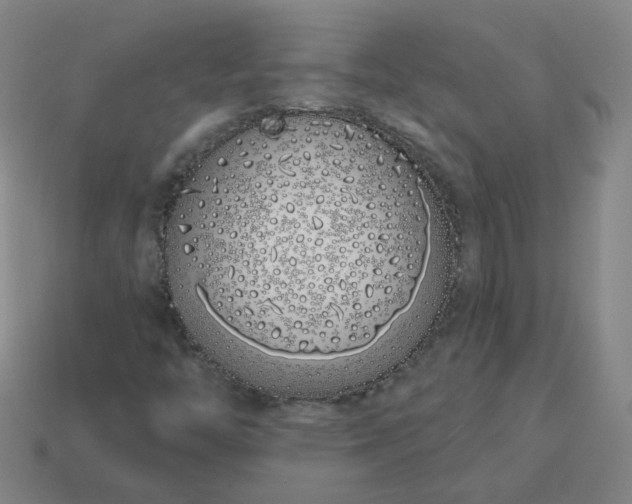 X0000114071446200910191512