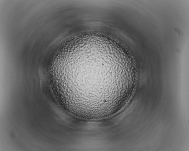 X0000114071449200910191512