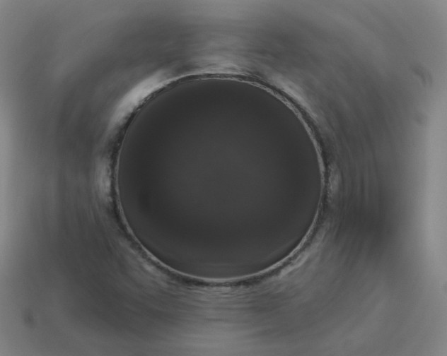 X0000114071455200910191512