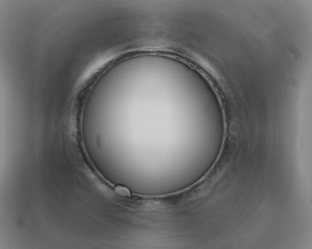 X0000114071456200910191512