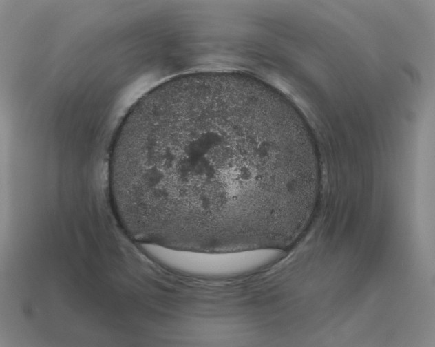 X0000114071459200910191512