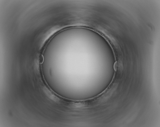 X0000114071460200910191512