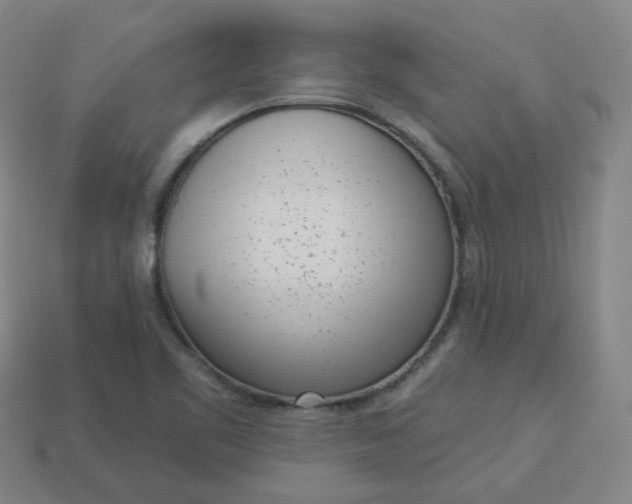 X0000114071461200910191512