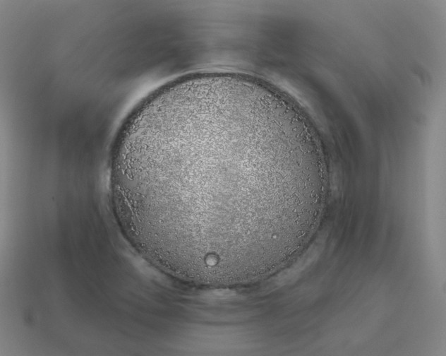 X0000114071462200910191512