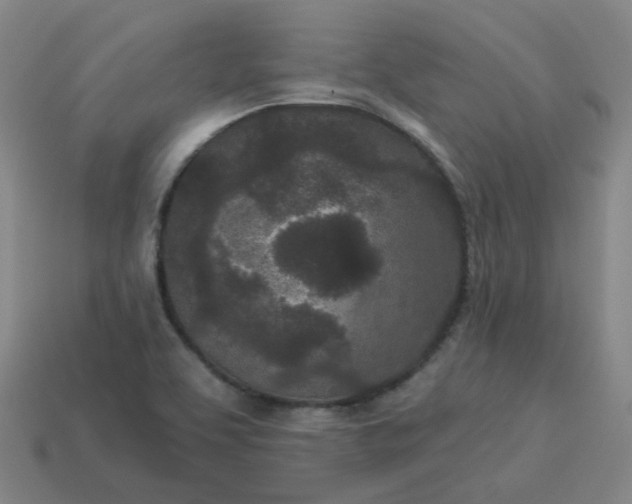 X0000114071463200910191512