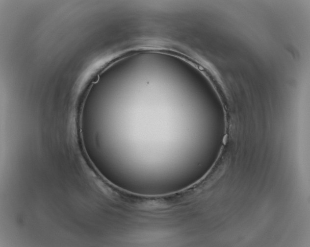 X0000114071464200910191512