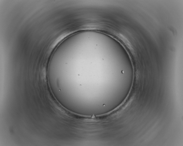 X0000114071465200910191512