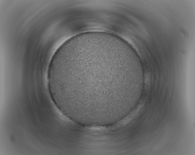 X0000114071466200910191512