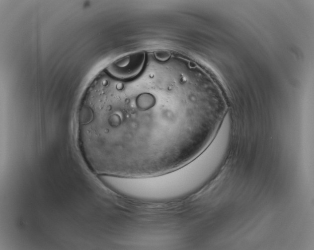 X0000114071467200910191512