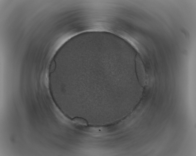 X0000114071468200910191512